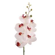 Phalaenopsis KENT umělý bílo-růžový