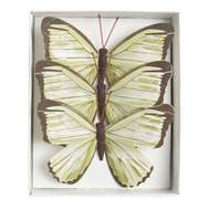 Motýl látkový na drátku 3ks 12cm žlutý nebo zelený