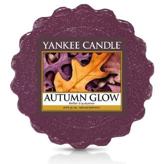 Vosk YANKEE CANDLE 22g Autumn Glow