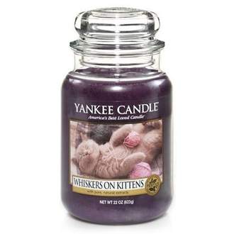 Svíčka YANKEE CANDLE 623g Whiskers on Kittens