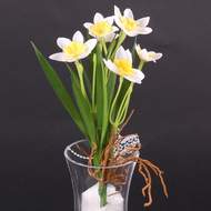 Narcis NADINE trs umělý s kořeny žluto-bílý 18cm