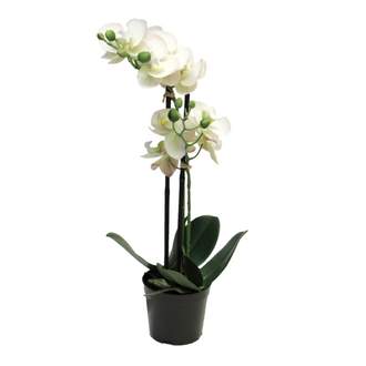 Phalaenopsis FARE hrnkový umělý 50cm krémový