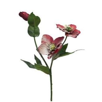 Čemeřice REIMS řezaný umělý zasněžený 3 květy červená 55cm