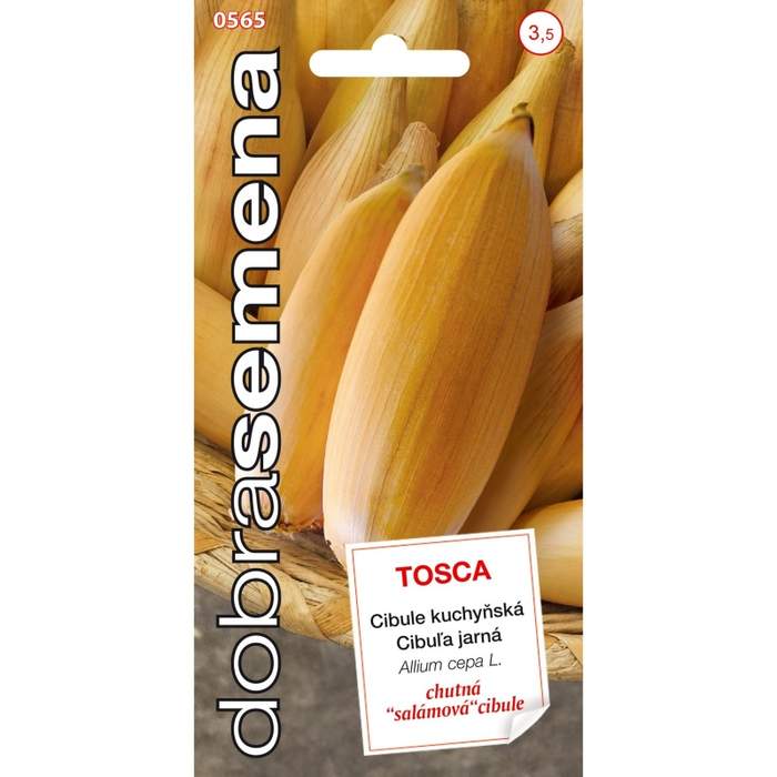 Cibule jarní žlutá TOSCA (DS)