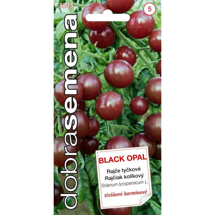 Rajče třešňové BLACK OPAL (DS)