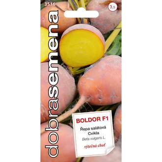 Řepa salátová kulatá BOLDOR F1 (DS)