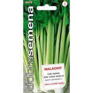 Celer řapíkatý MALACHIT (DS)