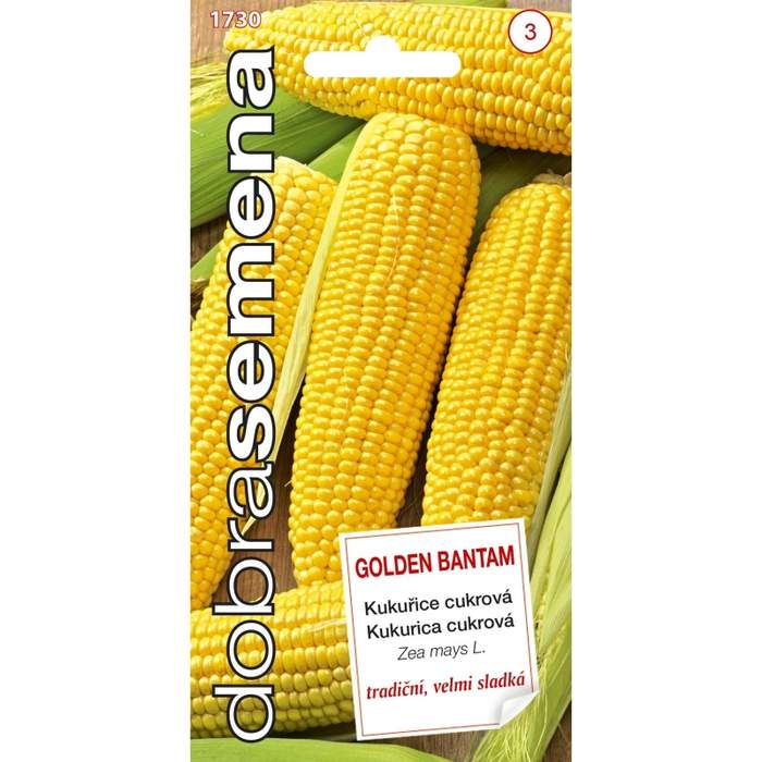 Kukuřice cukrová GOLDEN BANTAM (DS)