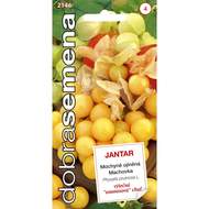 Mochyně ojíněná ananasová JANTAR (DS)