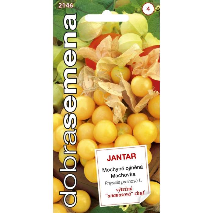 Levně Mochyně ojíněná ananasová JANTAR (DS)