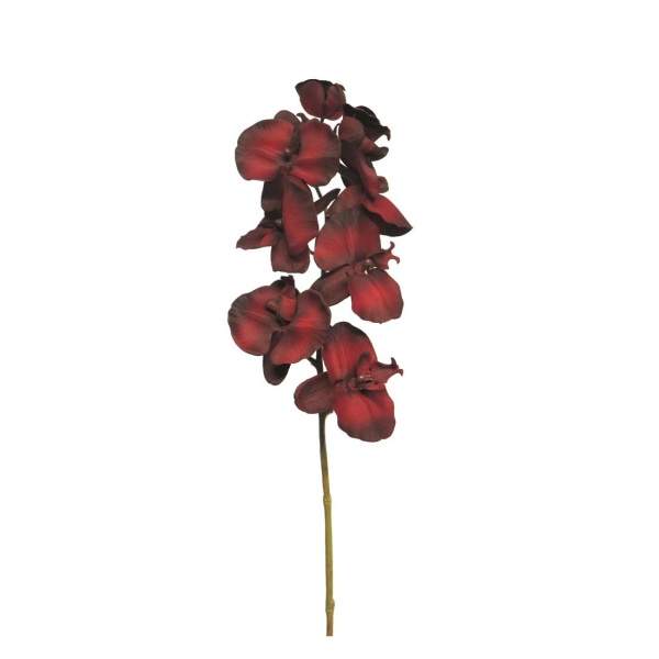 Levně Phalaenopsis řezaný umělý vínový 74cm