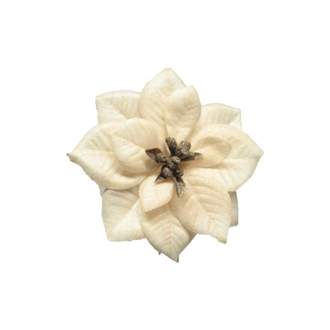 Poinsettia ODA květ na klipu umělá krémová 11cm