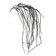 Amaranthus převislý umělý stříbrný 81cm