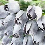 Tulipán řezaný umělý 40cm šedý