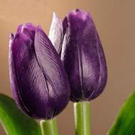 Tulipán řezaný umělý 40cm tm.fialový