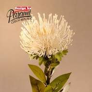 Protea řezaná umělá bílá 73cm