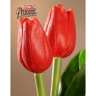 Tulipán řezaný umělý 40cm  sv.červený