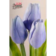 Tulipán řezaný umělý sv. modrý 40cm