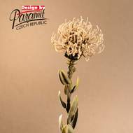 Protea řezaná umělá krémová 61cm