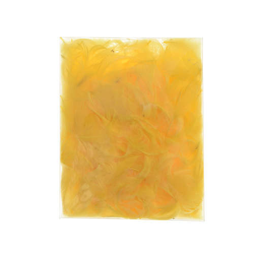 Levně Peří dekorační žluté 5g
