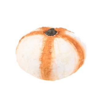 Dýně keramiická bílo-oranžová 17cm