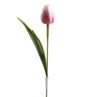 Tulipán řezaný umělý 40cm bílo-růžový