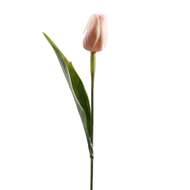 Tulipán řezaný umělý 40cm krémovo-růžový
