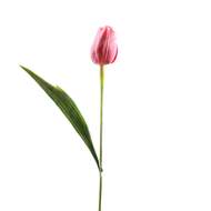 Tulipán řezaný umělý 40cm červený