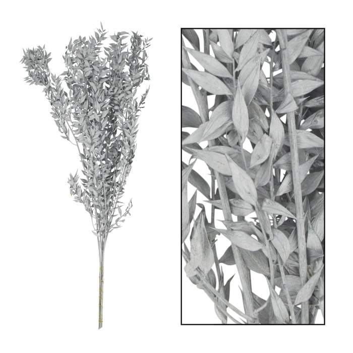 Levně Sušina ruscus barvená větev stříbrná 75cm