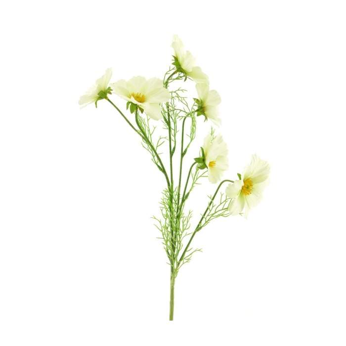 Levně Krásenka BIBI řezaná umělá 6 květů krémová 77cm