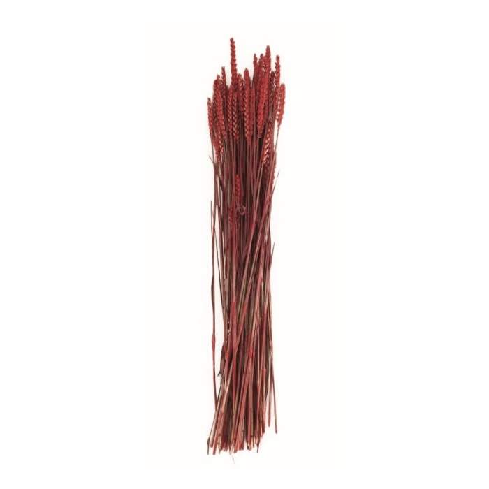 Levně Sušina pšenice barvená červená 70cm