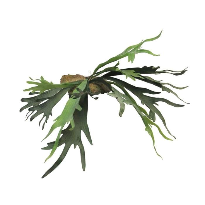 Levně Parožnatka listy umělaá zelená 50cm