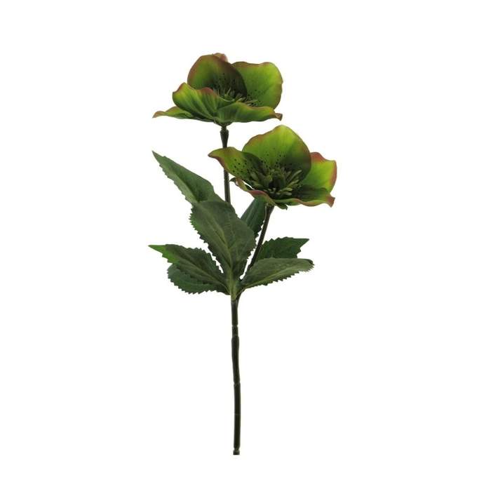 Levně Čemeřice řezaná umělá 2 zelené květy 34cm