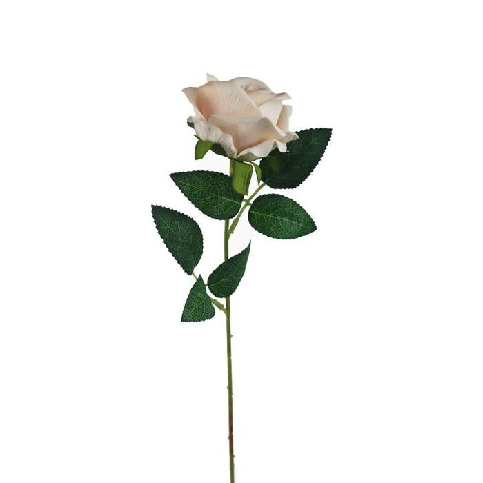 E-shop Růže řezaná umělá krémová 50cm