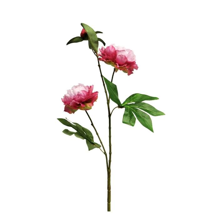 Levně Pivoňka PRINCESS řezaná umělá se 3 květy vínová 67cm